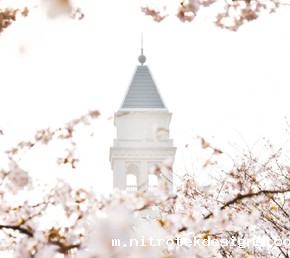 共建美好留学生活